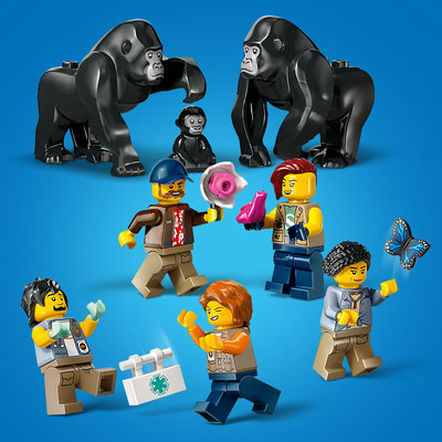 60437-lego-d