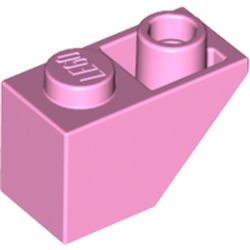 Cărămidă cu pantă 45 2 X 1 Inv