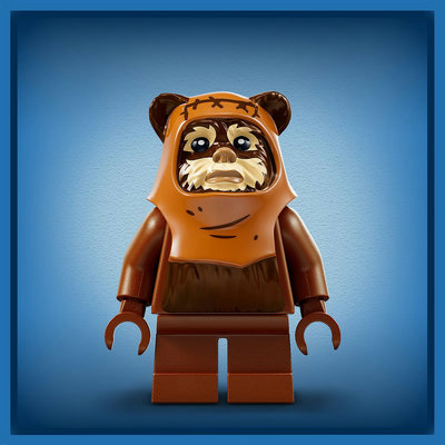 75430-lego-d-
