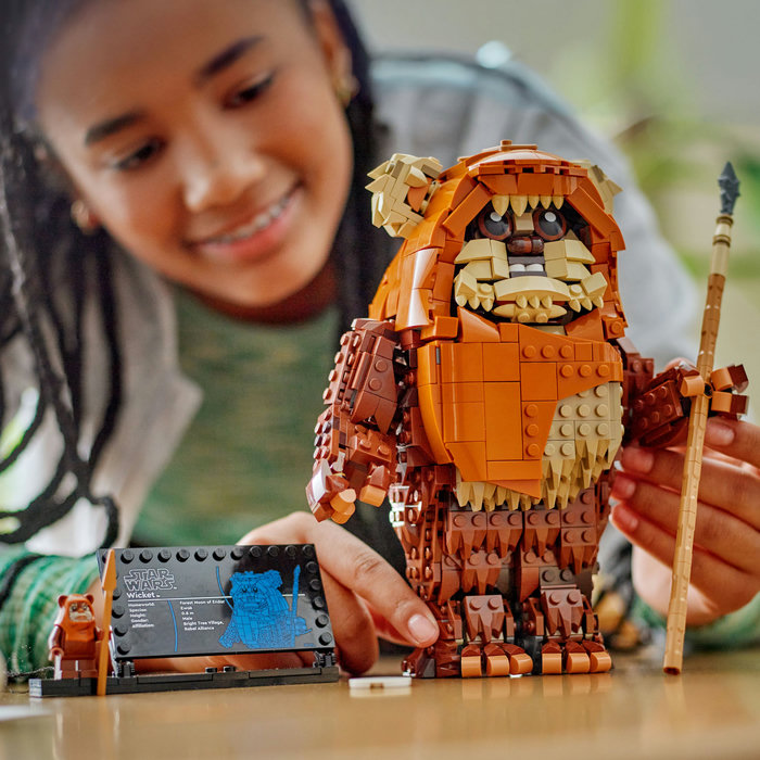 75430-lego-e