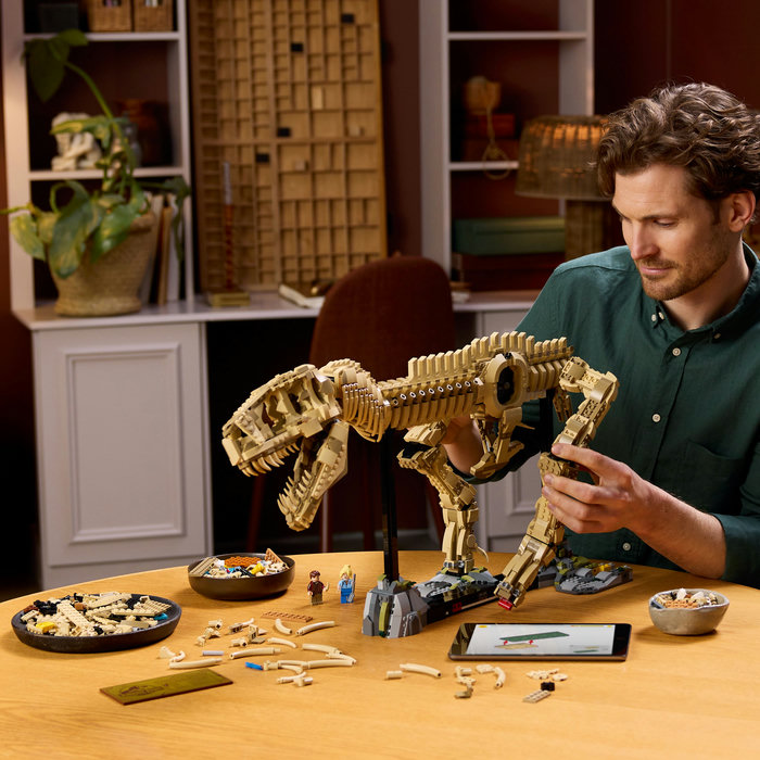 76968-lego-e