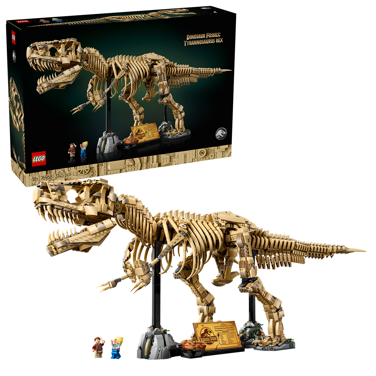 Fosile de dinozaur: Tyrannosaurus Rex