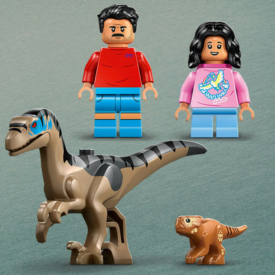 76972-lego-d