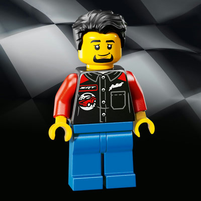 77237-lego-d