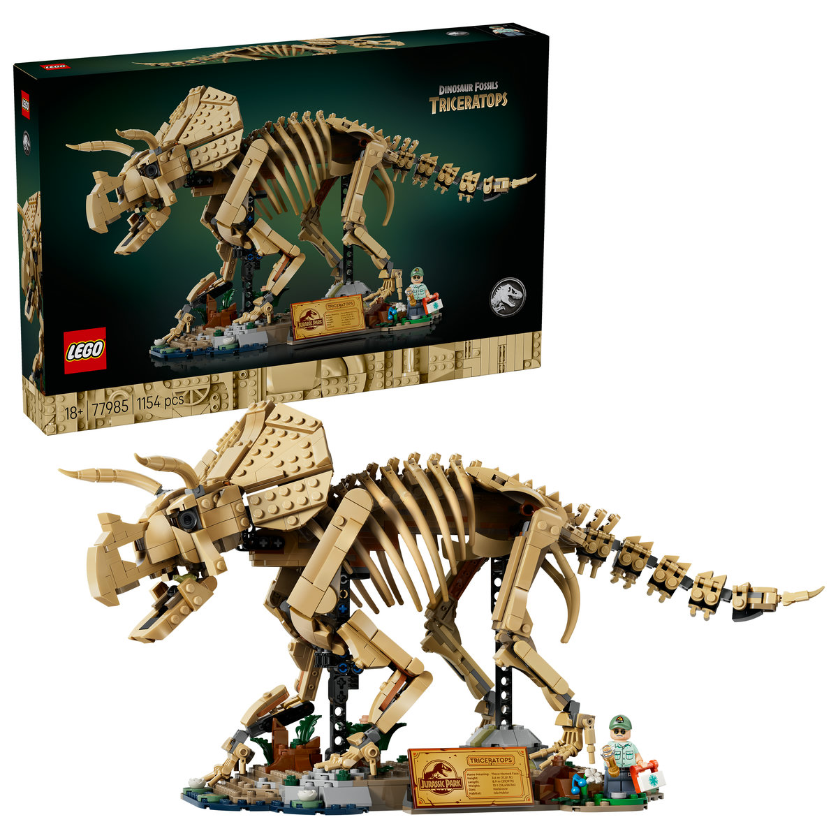 Fosile de dinozaur: Triceratops