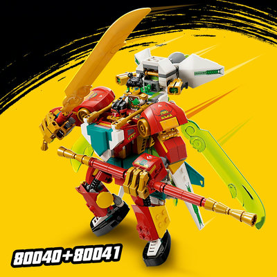 80040-lego-d