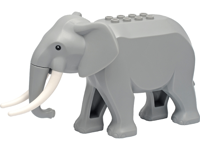 Elefant